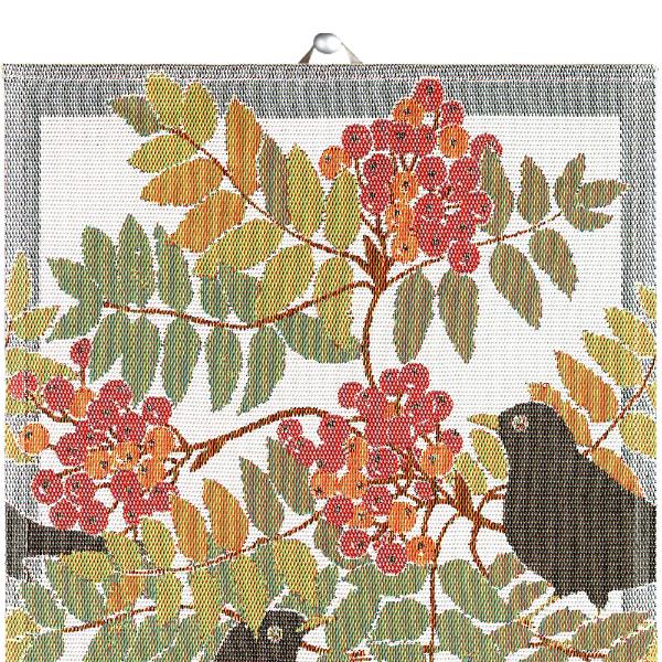 Koltrast kjøkkenhåndkle 40x60 cm