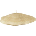 Seashell figurlys 5x15 cm brazilian sand