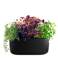 Selvvannende urtepotte 31x13 cm svart