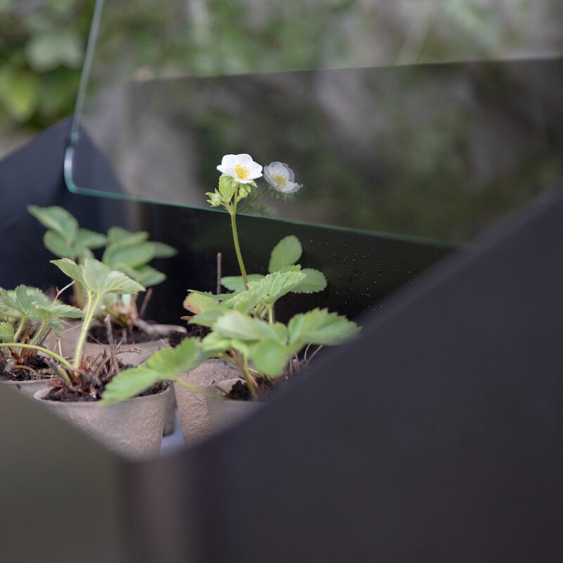 Simply Grow spirekasse svart