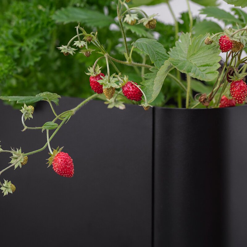 Simply Grow plantekasse svart